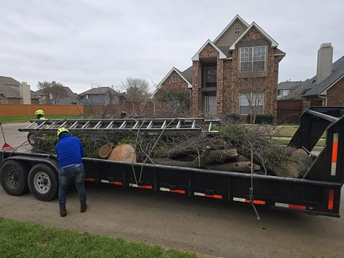 Expert Lot Clearing with proper safety equipment in Chambers